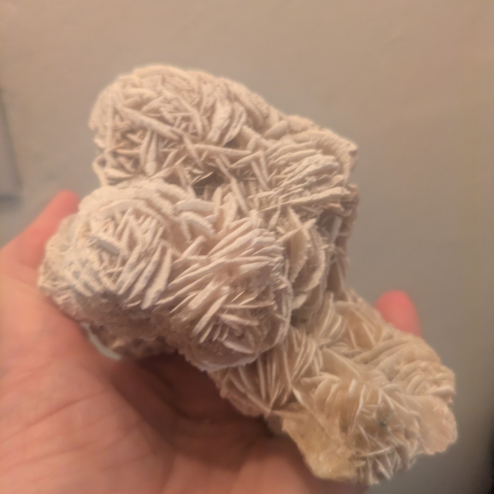 Desert Rose Selenite Crystal Cluster - Cream